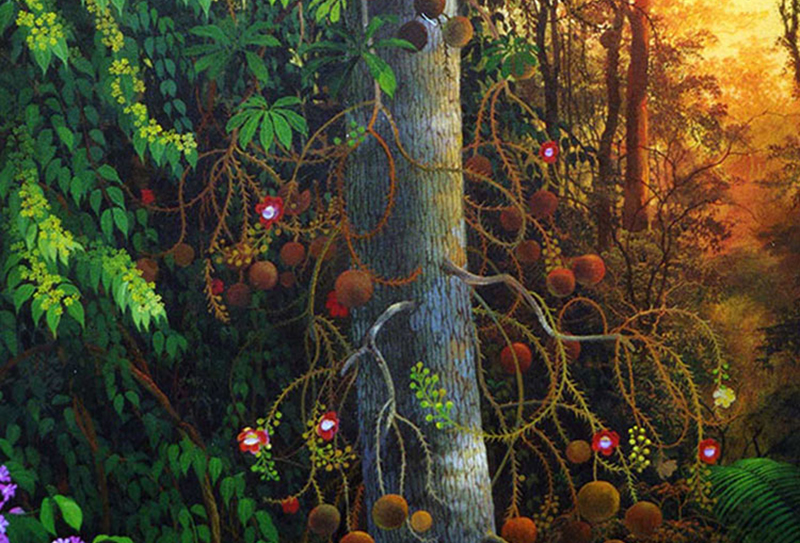 price ayahuasca ceremony retreat Amsterdam Netherlands