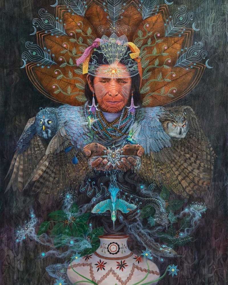 kosten ayahuasca retreat amsterdam