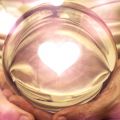 sattvaya amsterdam ayahuasca spaceholding noud