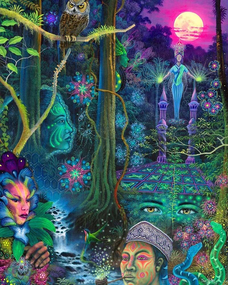 boeken ayahuasca ceremonie amsterdam