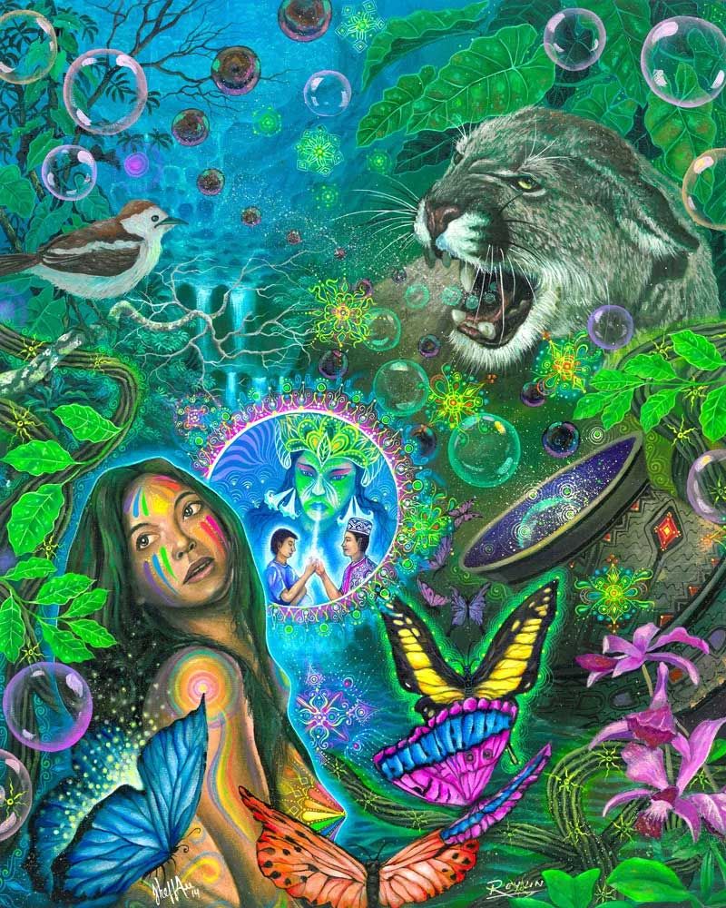 kosten ayahuasca retreat amsterdam