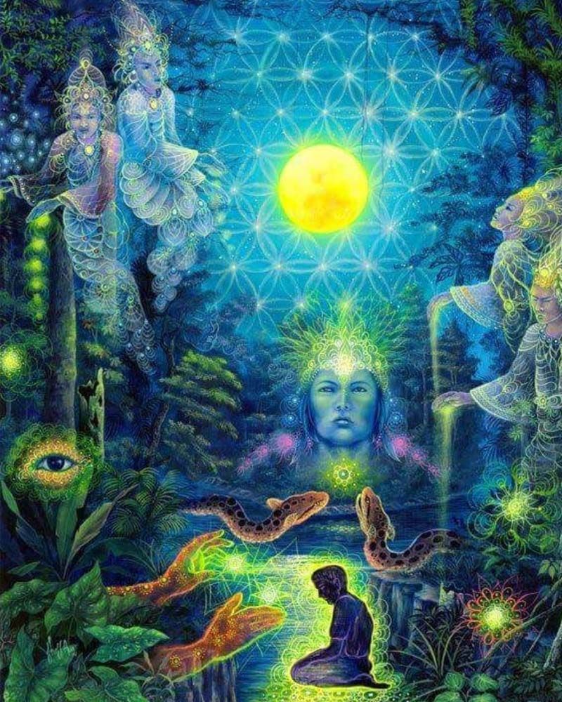 kosten ayahuasca retreat amsterdam
