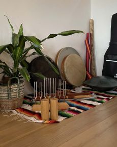 ayahuasca ceremonies transpersoonlijke psychedelische therapie nederland