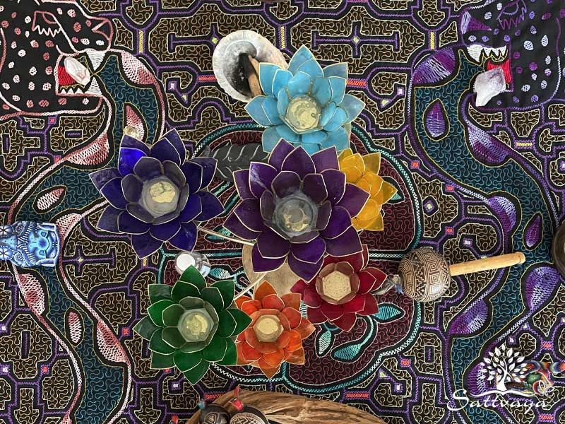 ayahuasca ceremonie retreat veilige warme setting amsterdam