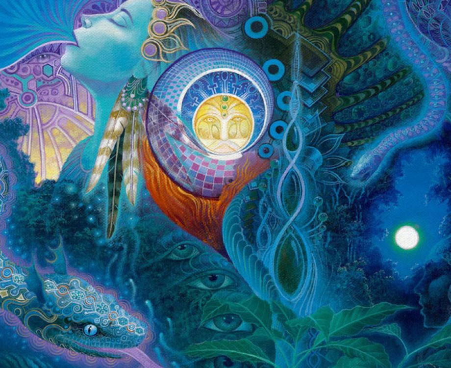 kosten ayahuasca retreat amsterdam