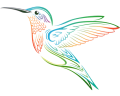 ahayasca aya huasca ayahuasca ceremonie nederland kolibri
