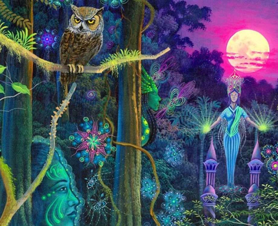 kosten ayahuasca retreat amsterdam