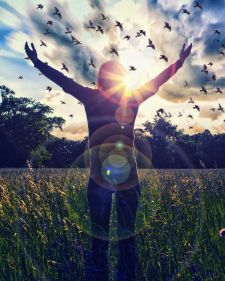 netherlands ayahuasca facilitator