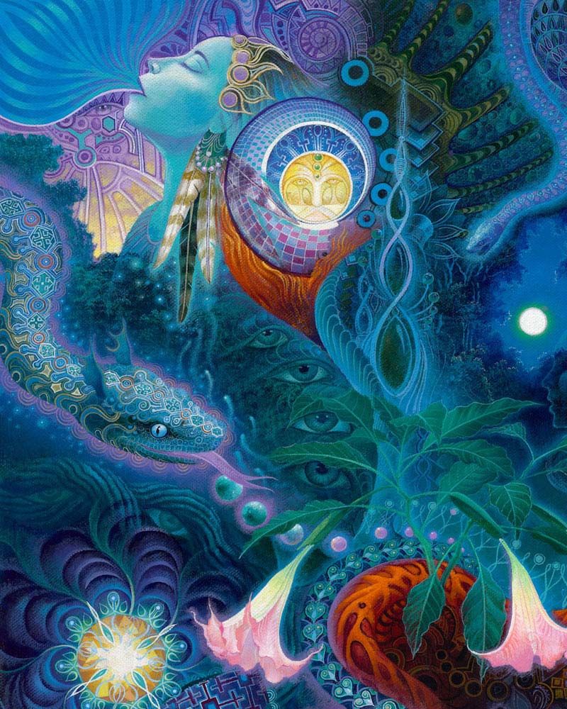 kosten ayahuasca retreat amsterdam