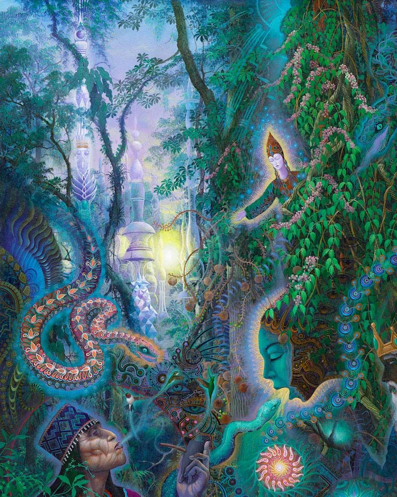 kosten ayahuasca retreat amsterdam