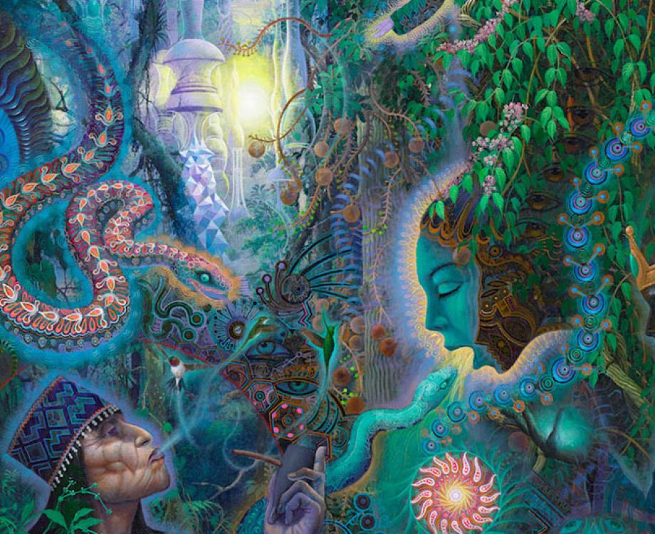 kosten ayahuasca retreat amsterdam