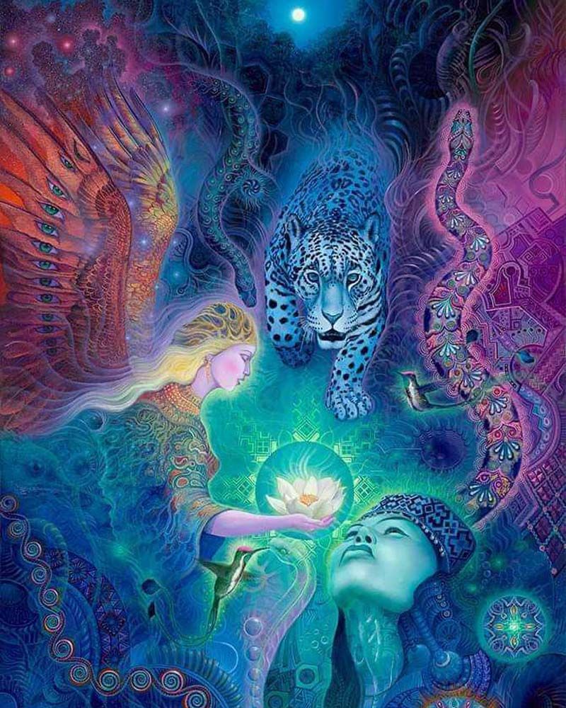 kosten ayahuasca retreat amsterdam