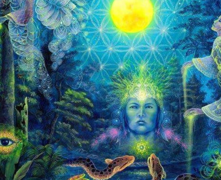kosten ayahuasca retreat amsterdam